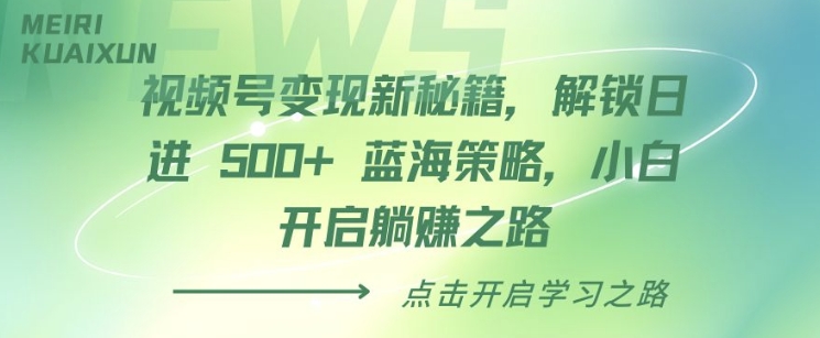 视频号变现新秘籍，解锁日进 5张 蓝海策略，小白开启躺Z之路-DE云网创