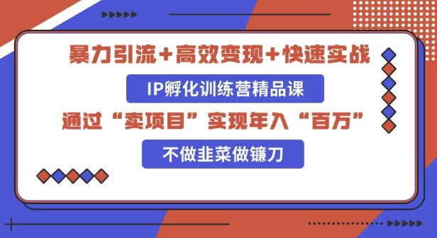 知识付费独家玩法：精准引流+高效变现，简单复制成功模式，最新IP共创导师训练营玩法-DE云网创