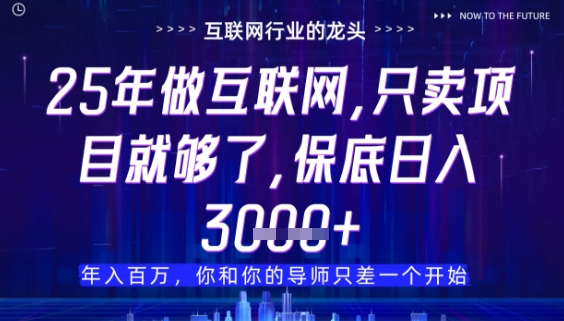 什么！25年你还在找项目做？风口早就变了，卖项目才是稳挣不赔【揭秘】-DE云网创