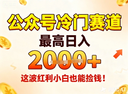 公众号冷门赛道，最高日入1k+，这波红利小白也能捡钱！-DE云网创