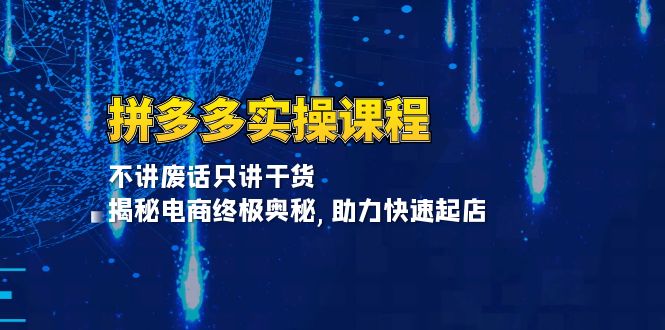 （13577期）拼多多实操课程：不讲废话只讲干货, 揭秘电商终极奥秘,助力快速起店-DE云网创