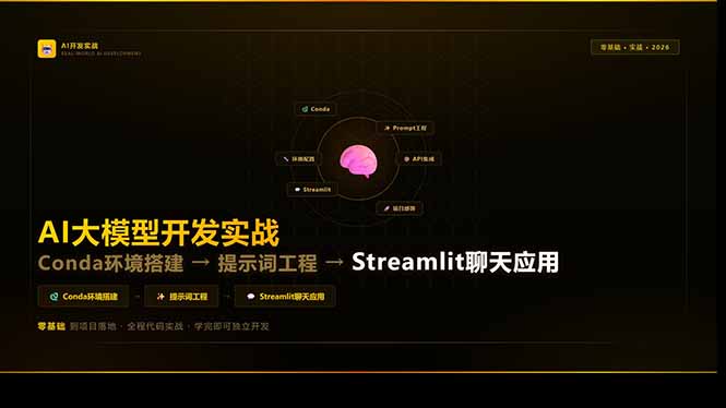 AI大模型开发实战：Conda环境搭建→提示词工程→Streamlit聊天应用，零基础到项目落地-DE云网创