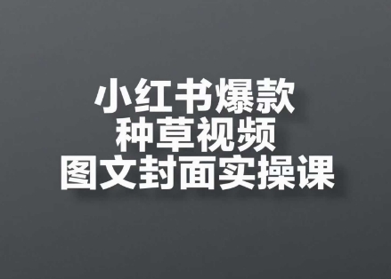 小红书爆款种草视频图文封面实操课，​开店、选品、引流、变现全流程-DE云网创