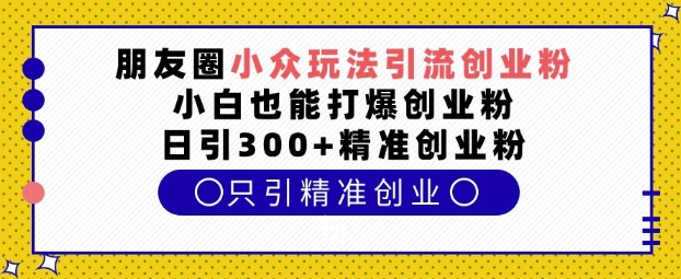 朋友圈小众玩法引流创业粉，小白也能打爆创业粉，日引300+精准创业粉【揭秘】-DE云网创