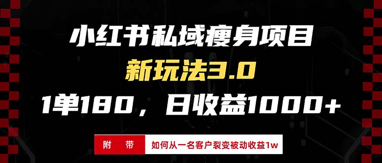 （13348期）小红书瘦身项目3.0模式，新手小白日赚收益1000+（附从一名客户裂变收益...-DE云网创