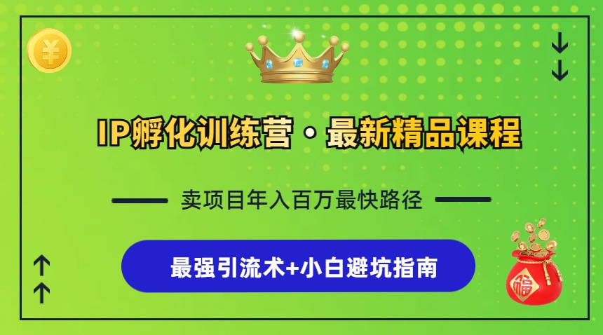 （13055期）IP孵化训练营，知识付费全流程+最强引流术+小白避坑指南-DE云网创