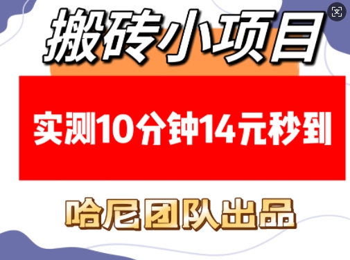 搬砖小项目，实测10分钟14元秒到，每天稳定几张(赠送必看稳定)-DE云网创