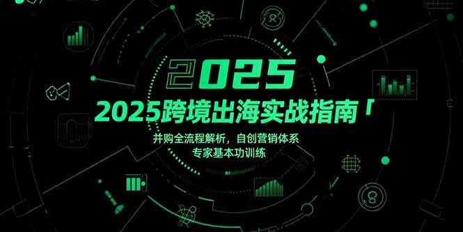 （15503期）2025跨境出海实战指南，并购全流程解析，自创营销体系，专家基本功训练-DE云网创