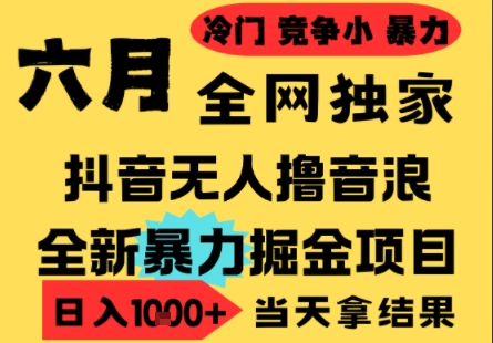 25年6月高爆抖音无人直播最新撸音浪掘金项目，小白可做，无脑日入1k+，门槛低可批量矩阵【揭秘】-DE云网创