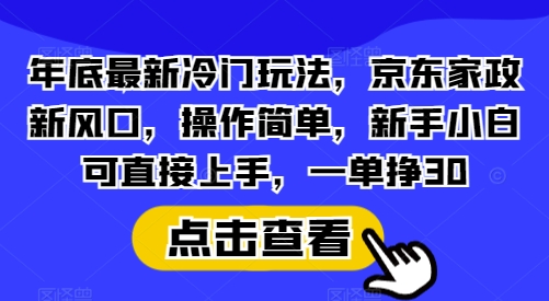 年底最新冷门玩法，京东家政新风口，操作简单，新手小白可直接上手，一单挣30【揭秘】-DE云网创