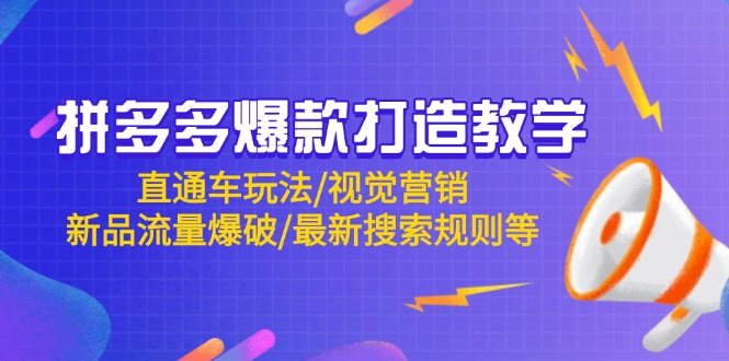（14681期）拼多多爆款打造教学：直通车玩法/视觉营销/新品流量爆破/最新搜索规则等-DE云网创