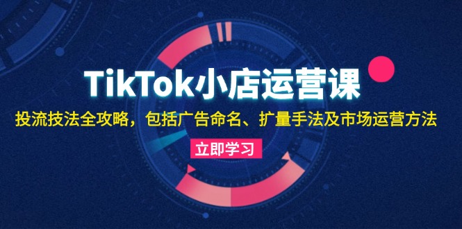 （13063期）TikTok小店运营课：投流技法全攻略，包括广告命名 扩量手法及市场运营方法-DE云网创