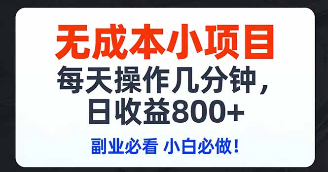 无成本小项目,每天操作几分钟,日收益800+ 副业必看 小白必做！-DE云网创