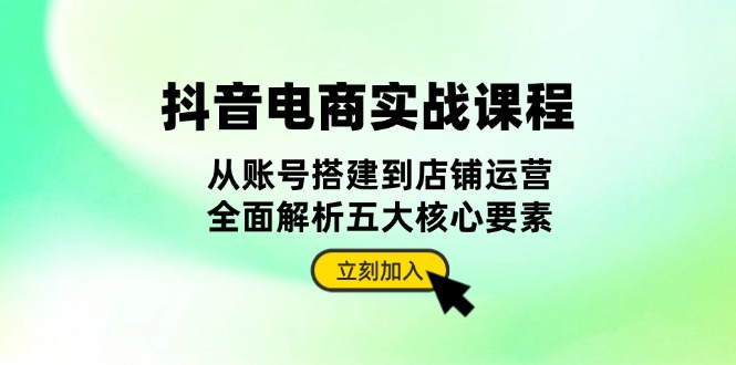 （13350期）抖音 电商实战课程：从账号搭建到店铺运营，全面解析五大核心要素-DE云网创