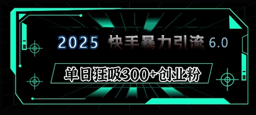 2025年快手6.0保姆级教程震撼来袭，单日狂吸300+精准创业粉-DE云网创