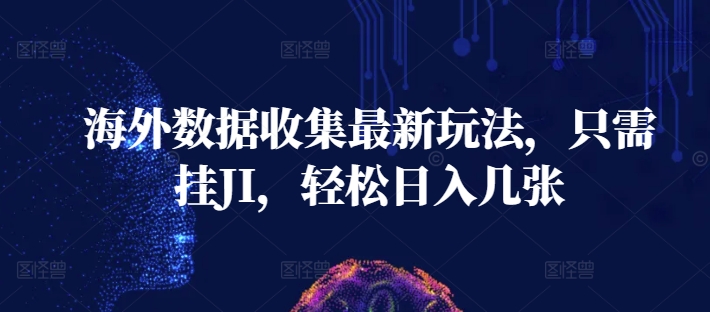 海外数据收集最新玩法，只需挂JI，轻松日入几张-DE云网创