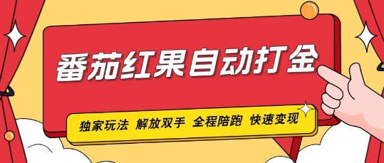 番茄红果独家玩法，单机50-100，可矩阵放大操作轻松，小白轻松上手!-DE云网创