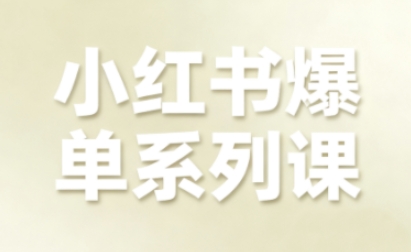 小红书爆单系列课，聚焦小红书电商全链路增长(更新)-DE云网创