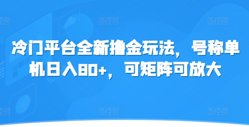 冷门平台全新撸金玩法，号称单机日入80+，可矩阵可放大-DE云网创