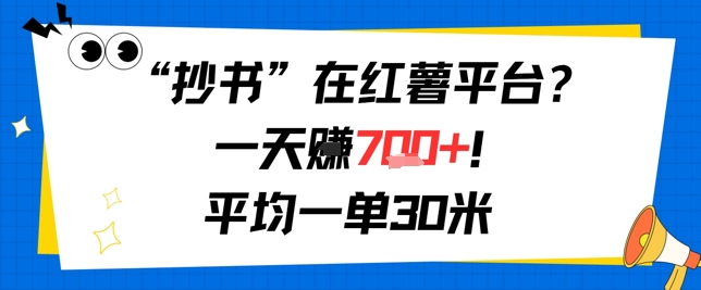 抄书在红薯平台？一天挣几张，平均一单30米，有手就行，新手小白不二之选！-DE云网创