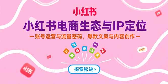 （15350期）小红书电商生态与IP定位，账号运营与流量密码，爆款文案与内容创作-DE云网创