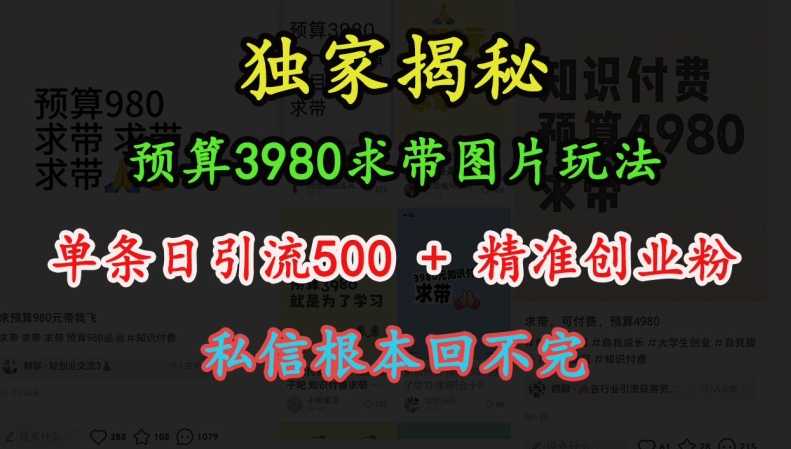 预算3980求带 图片玩法，单条日引流500+精准创业粉，私信根本回不完-DE云网创