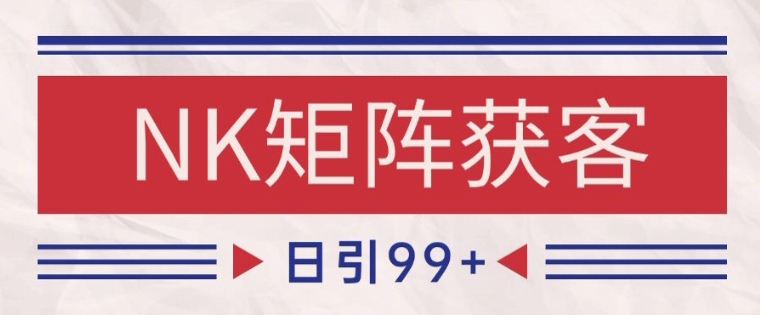 小红书某音NK赛道引流获客 自热矩阵日引200+【揭秘】-DE云网创