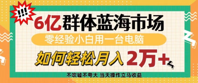 6亿群体蓝海市场，零经验小白用一台电脑，如何轻松月入过w【揭秘】-DE云网创