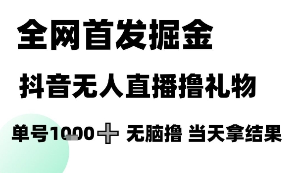 全网首发掘金抖音无人直播撸礼物，单号1k +无脑撸，当天拿结果【揭秘】-DE云网创