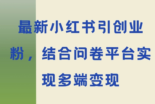 最新小红书引大学生创业粉，结合问卷平台实现多端变现-DE云网创