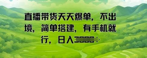直播带货天天爆单，不出境，简单搭建，有手机就行，日入多张-DE云网创