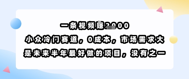 一条视频挣1k，小众冷门赛道，0成本，市场需求大，是未来半年最好做的项目，没有之一-DE云网创