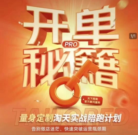 淘宝开单秘籍PRO，量身定制淘天实战陪跑计划，告别做店迷茫、快速突破运营瓶颈期-DE云网创