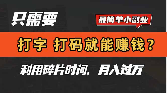 （14672期）只需要打字，打码，就能赚钱？简单的赚钱小副业，利用碎片时间，月入过万-DE云网创