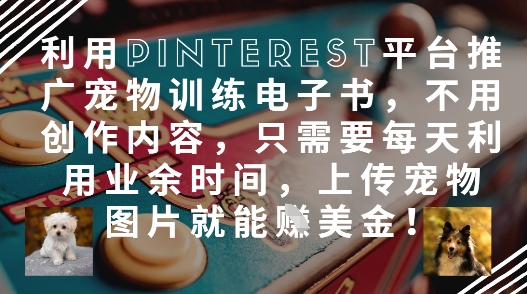 利用Pinterest平台推广宠物训练电子书，不用创作内容，只需要每天利用业余时间，上传宠物图片就能挣美金!-DE云网创