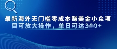 最新海外无门槛美金小众项目可放大操作，单日可达3张-DE云网创