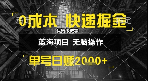 0成本快递掘金玩法，日入1k+，小白30分钟上手，收益嘎嘎猛【揭秘】-DE云网创