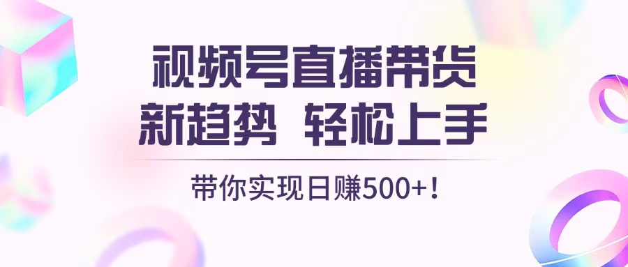 （13370期）视频号直播带货新趋势，轻松上手，带你实现日赚500+-DE云网创
