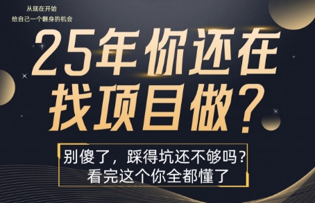 25年,你还在疯狂的找项目吗?别傻了,看完这个你都懂了【揭秘】-DE云网创