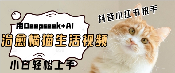 疯狂火爆，用Deepseek+AI做治愈橘猫系列视频，小白轻松制作+快速拿到结果-DE云网创