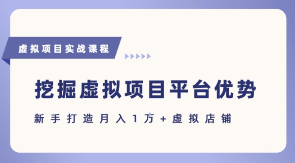 抓住虚拟项目各平台优势，新手轻松月入1W+(给出具体建议)-DE云网创