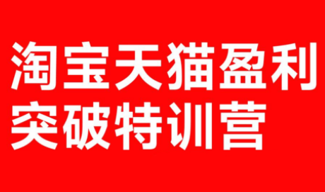 玺承·淘宝天猫盈利突破特训营(25年12月线下课)【音频+字幕】-DE云网创