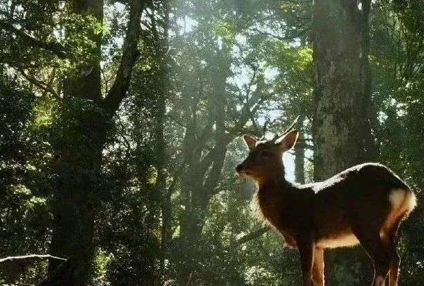 为什么现在的人挣钱都这么难?插图1 为什么现在的人挣钱都这么难?