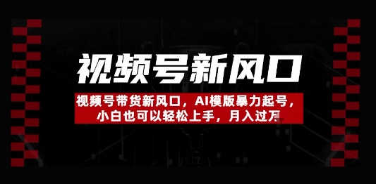 视频号带货新风口，AI模版暴力起号，小白也可以轻松上手，月入过W-DE云网创