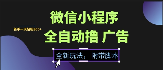 微信小程序全自动撸广告项目，彻底解决没流量的问题，新手一天8张+【揭秘】-DE云网创