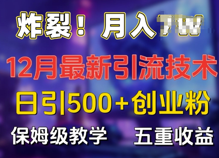 炸裂!揭秘12月最新日引流500+精准创业粉，多重收益保姆级教学-DE云网创