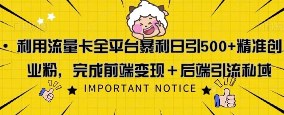 利用流量卡全平台暴利日引500+精准创业粉-DE云网创