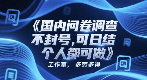 国内问卷调查，不封号，可日结，多劳多得，工作室，个人都可做-DE云网创