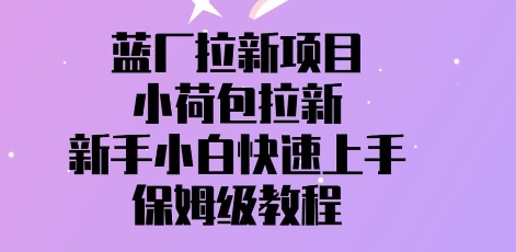 蓝厂拉新项目，小荷包拉新，新手小白快速上手，保姆级教程-DE云网创