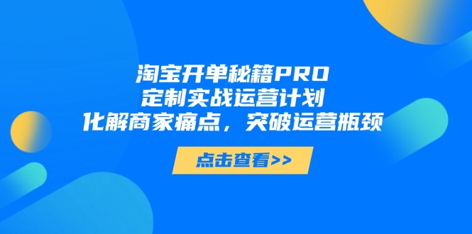 （14642期）淘宝开单秘籍PRO，定制实战运营计划，化解商家痛点，突破运营瓶颈-DE云网创